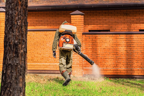 Trusted Bed Bug Control service in Blaine, WA - Nex Pest Control